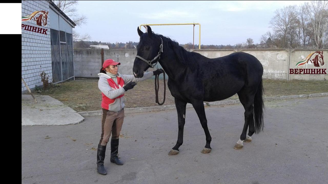 Vershnyk Çerkassi Dış mekan fotoğraf